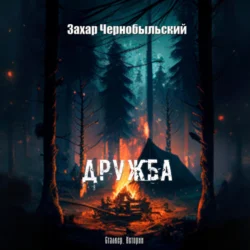 Сталкер. Истории. Дружба, аудиокнига Захара Чернобыльского. ISDN70507003