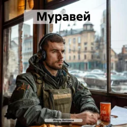 Небесный странник, аудиокнига Игоря Антонова. ISDN69230839