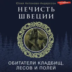 О чем говорят шведы. Рассказы о жизни современных викингов, аудиокнига . ISDN73783783