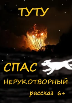 Спас Нерукотворный, ТУТУ