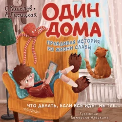 Один дома. Правдивая история из жизни Славы - Сергей Киселев