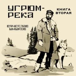 Угрюм-река. Книга 2, Вячеслав Шишков