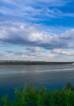 Круиз золотой рыбки, Владимир Шпырков