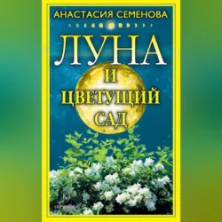 Луна и цветущий сад - Анастасия Семенова