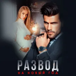 Развод на новый год - Каролина Шевцова