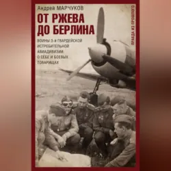 От Ржева до Берлина. Воины 3-й гвардейской истребительной авиадивизии о себе и боевых товарищах - Андрей Марчуков