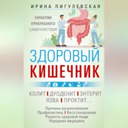 Здоровый кишечник. Гарантия прекрасного самочувствия. Колит. Дуоденит. Энтерит. Язва. Проктит… - Ирина Пигулевская
