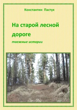 На старой лесной дороге, Константин Пастух