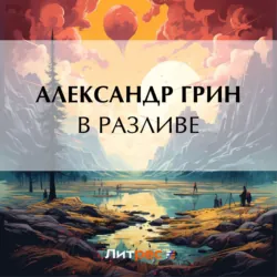 В разливе - Александр Грин