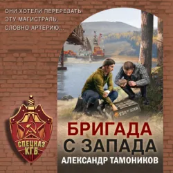 Бригада с запада - Александр Тамоников