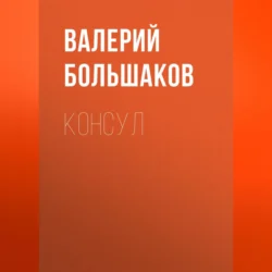 Консул, Валерий Большаков