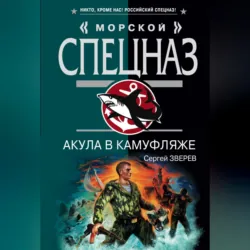 Акула в камуфляже - Сергей Зверев