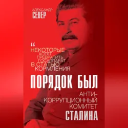Порядок был. Антикоррупционный комитет Сталина - Александр Север