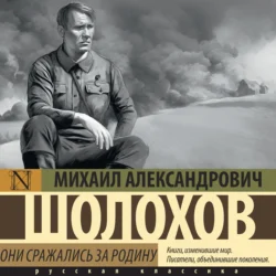 Они сражались за Родину - Михаил Шолохов Они сражались за Родину - Михаил Шолохов