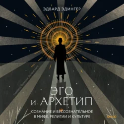 Пол и характер. Выпуск 1, аудиокнига Отто Вейнингера. ISDN22173713