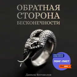 Обратная сторона бесконечности - Данила Богомолов
