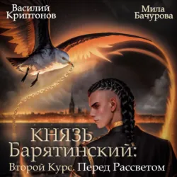 Князь Барятинский 9. Второй Курс. Перед рассветом - Мила Бачурова