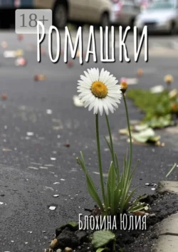Ромашки, Юлия Блохина