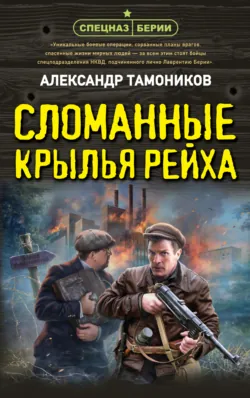 Сломанные крылья рейха - Александр Тамоников