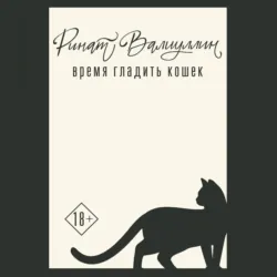 Время гладить кошек - Ринат Валиуллин