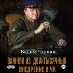 Важняк из двухтысячных. Внедрение в ЧК Вадим Чинцов