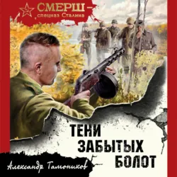 Тени забытых болот - Александр Тамоников