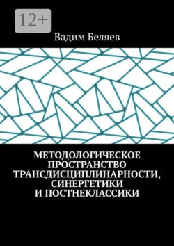 Методологическое пространство трансдисциплинарности, синергетики и постнеклассики, Вадим Беляев