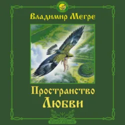 Пространство любви - Владимир Мегре