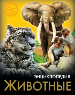Медведи, аудиокнига . ISDN66473612