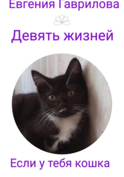 Девять жизней. Если у тебя кошка. Евгения Гаврилова