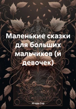 Маленькие сказки для больших мальчиков (и девочек), Игорь Сор