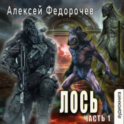 Видящий. Небо на плечах, аудиокнига Алексея Федорочева. ISDN38570239