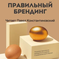 Правильный брендинг. Пошаговое практическое руководство по созданию и продвижению крутых брендов - Игорь Манн Правильный брендинг. Пошаговое практическое руководство по созданию и продвижению крутых брендов - Игорь Манн