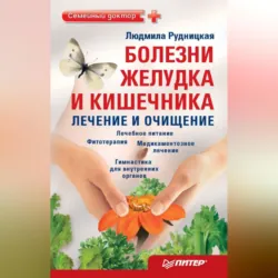 Болезни желудка и кишечника: лечение и очищение - Людмила Рудницкая