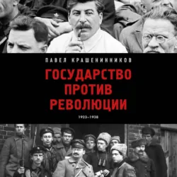 Государство против революции - Павел Крашенинников