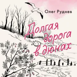 Долгая дорога в дюнах - Олег Руднев