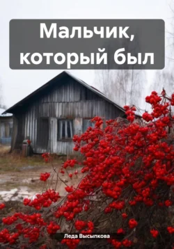 Мальчик, который был, Леда Высыпкова
