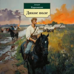 Дикое поле - Дмитрий Каркошкин