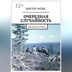 Очередная случайность - Виктор Музис Очередная случайность - Виктор Музис