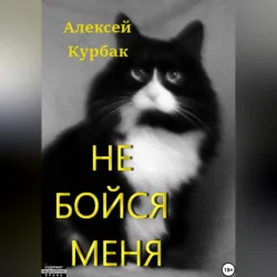 Не бойся меня, аудиокнига Алексея Михайловича Курбака. ISDN71116522