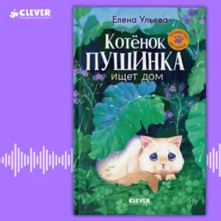 Котенок Пушинка ищет свой дом, Елена Ульева Котенок Пушинка ищет свой дом, Елена Ульева