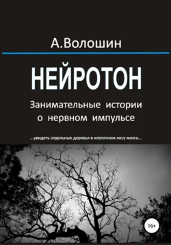 НЕЙРОТОН. Занимательные истории о нервном импульсе Александр Волошин