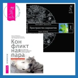 Конфликтная пара. Как найти мир, близость и научиться уважать партнера. Поведенческая терапия + Трансерфинг реальности. Ступень I: Пространство вариантов - Вадим Зеланд Конфликтная пара. Как найти мир, близость и научиться уважать партнера. Поведенческая терапия + Трансерфинг реальности. Ступень I: Пространство вариантов - Вадим Зеланд