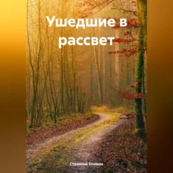 Ушедшие в рассвет, Странник Епимах