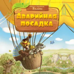 Аварийная посадка - Валько