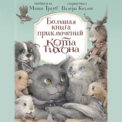 Большая книга приключений кота Тихона - Маша Трауб Большая книга приключений кота Тихона - Маша Трауб