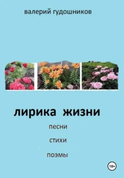 Курсанты, аудиокнига . ISDN71163040