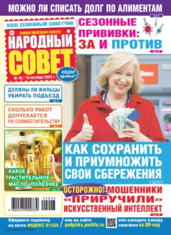 Народный совет №42/2024, аудиокнига . ISDN71231176