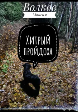 Хитрый пройдоха Волков Максим