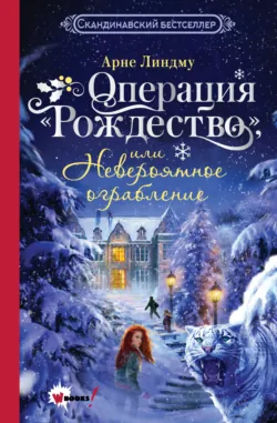 Тролльхейм. Подземная миссия, аудиокнига . ISDN72774565